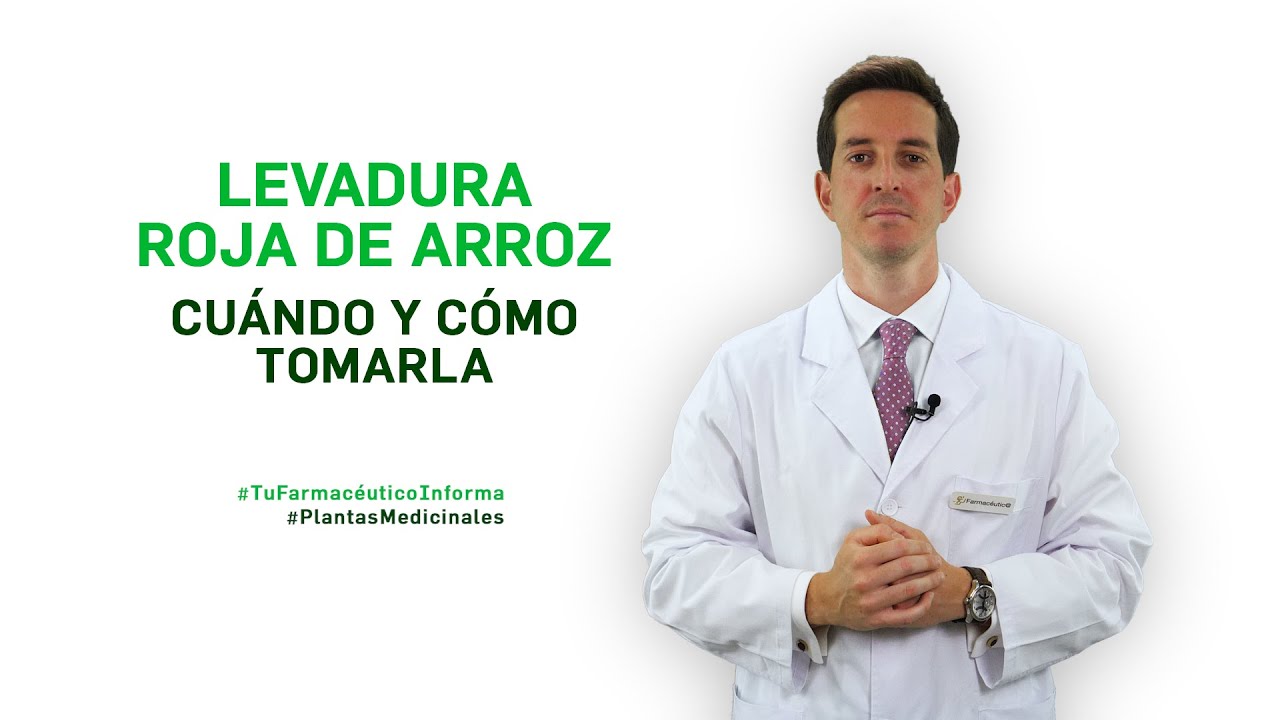 levadura roja de arroz hígado graso