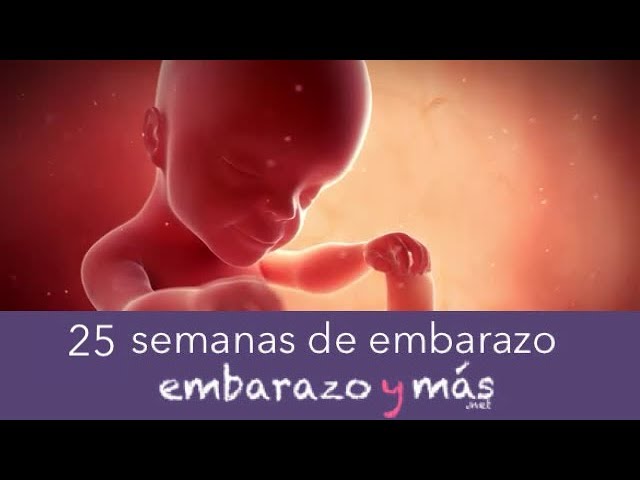 bebe alas 25 semanas de gestacion