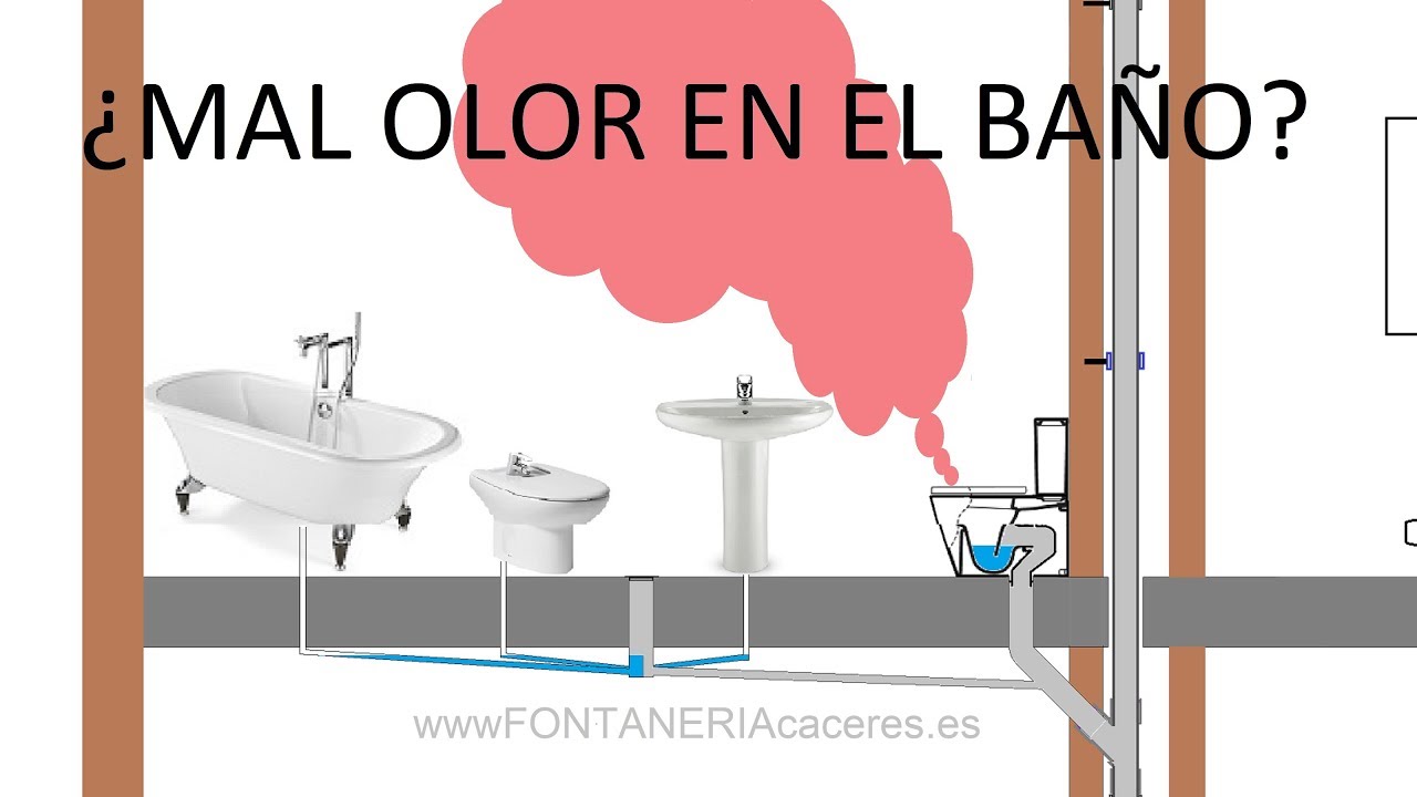 como detectar de donde viene un olor
