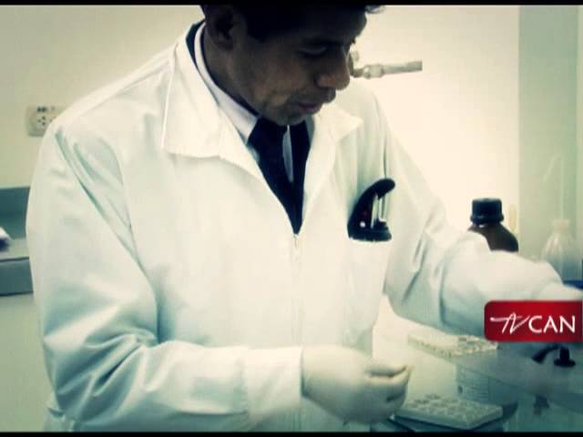 como saber la pureza de la coca