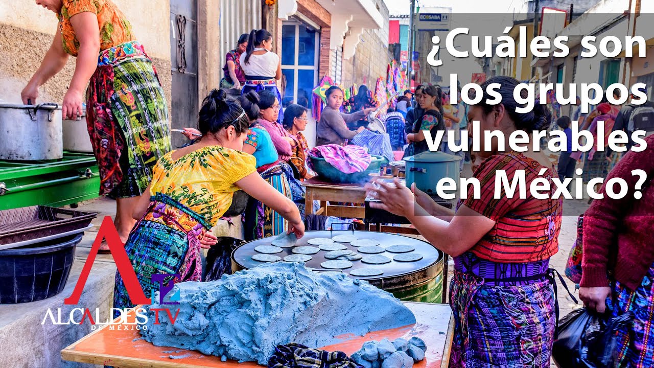 cuales son los principales grupos vulnerables