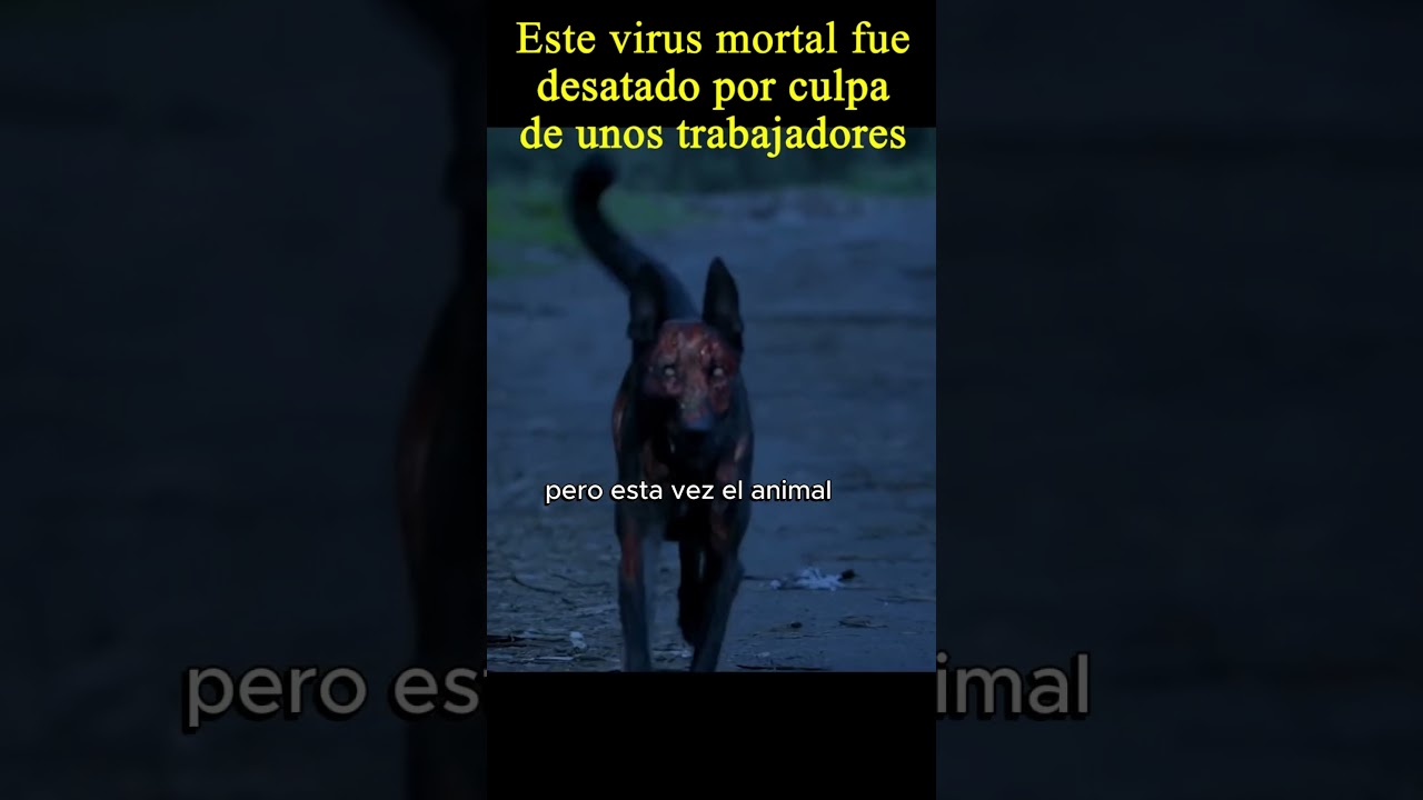 desafortunadamente acaba de ocurrir un accidente virus