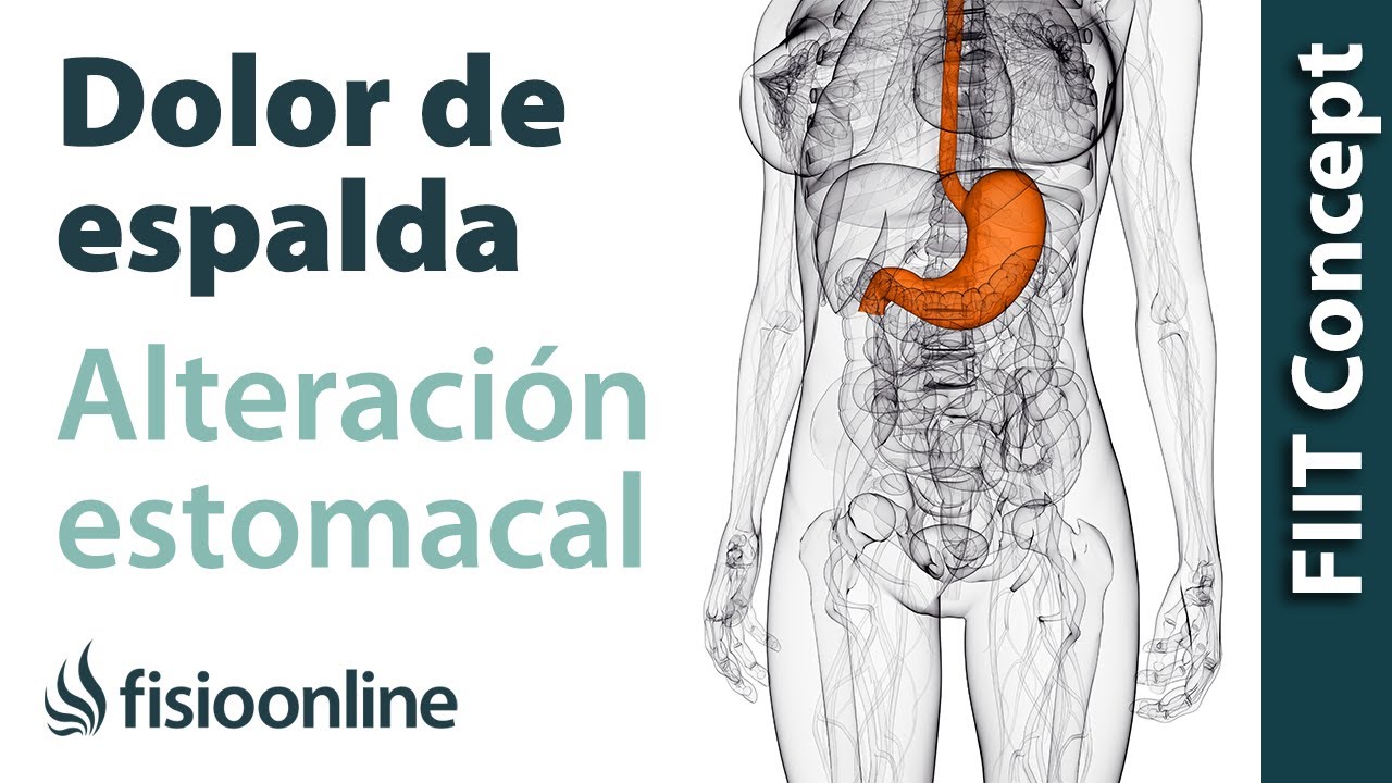 dolor de espalda y estómago por nervios