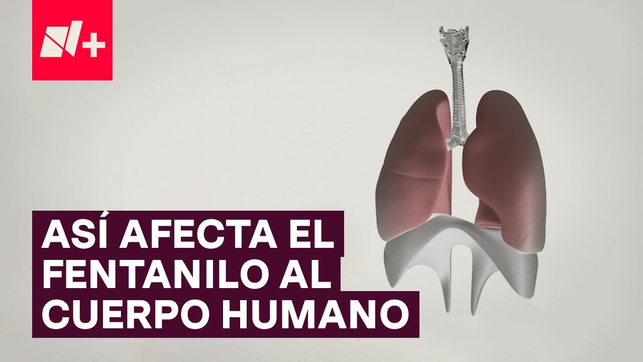 efectos secundarios del fentanilo en parches