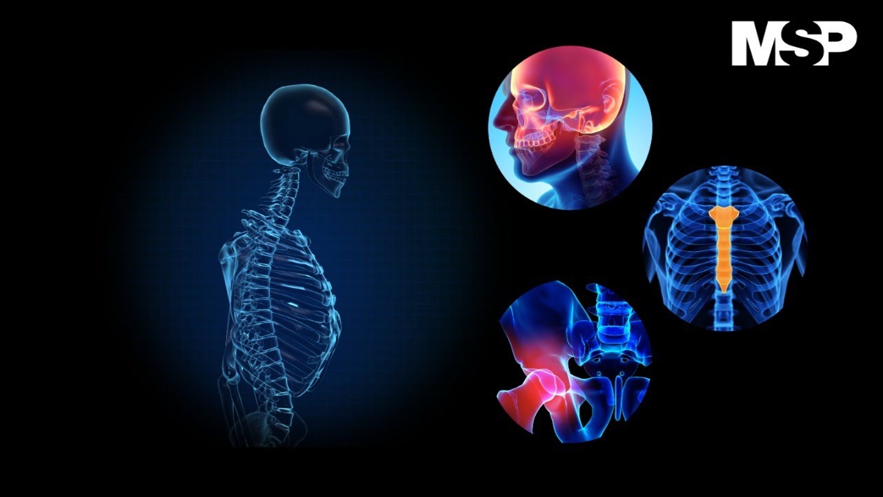 grados de toxicidad hepática por quimioterapia