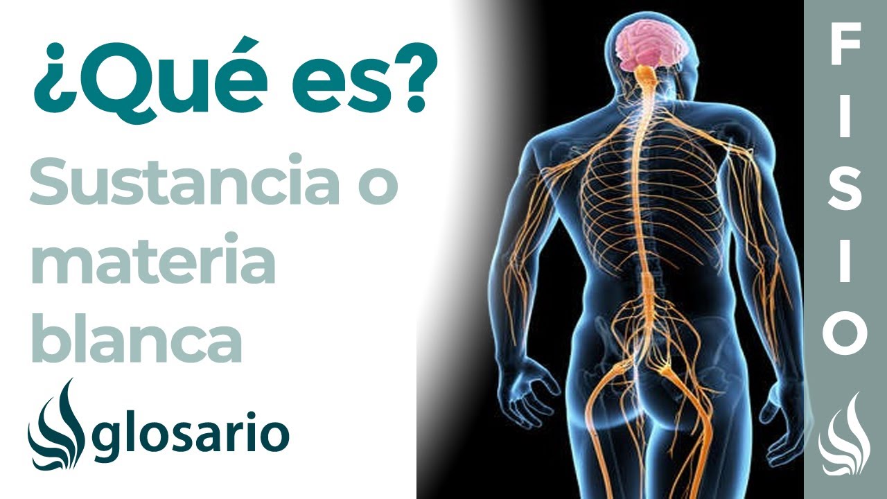 lesiones en sustancia blanca en paciente joven