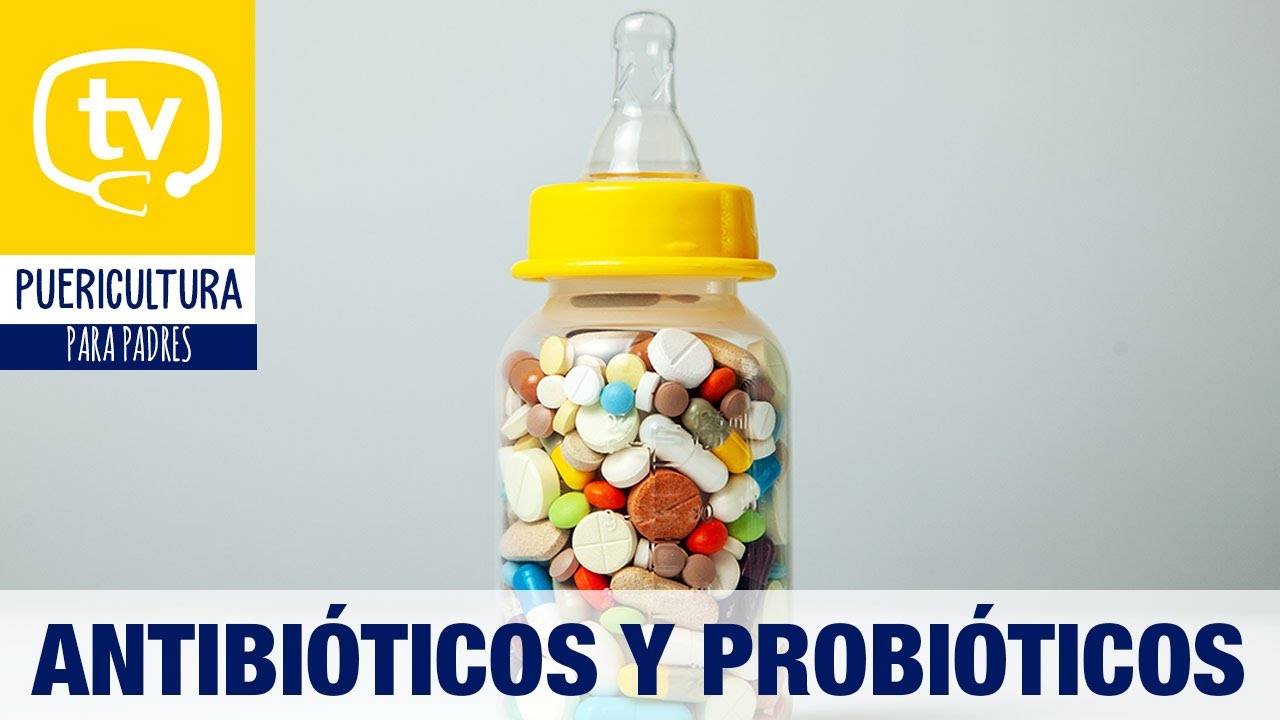 probioticos antes o despues de antibioticos