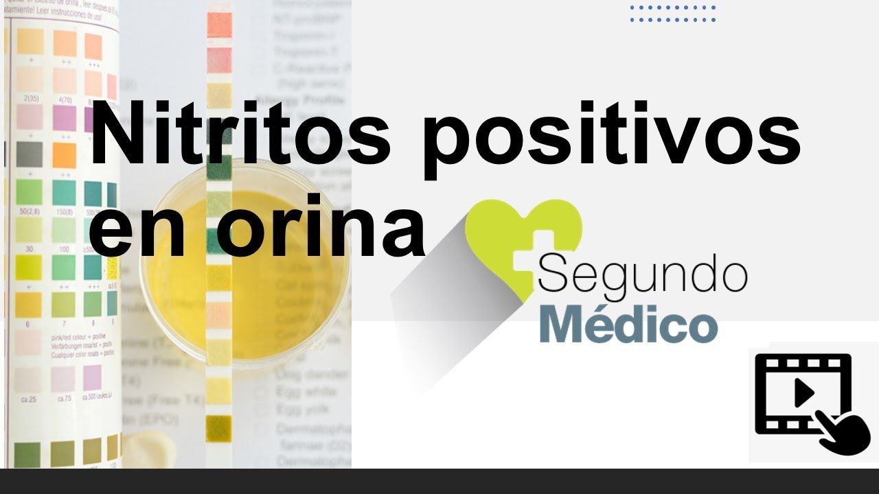 que son los nitritos en orina