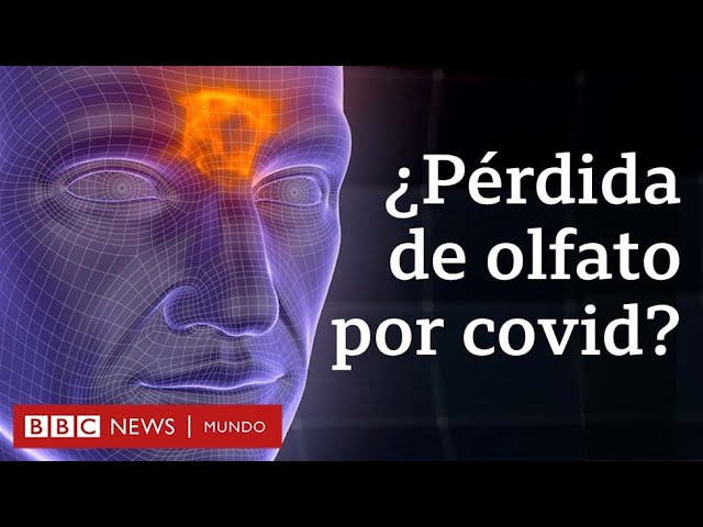se puede perder el olfato por un resfriado