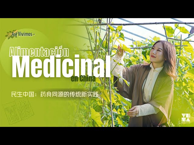 alimentos que calientan el cuerpo medicina china