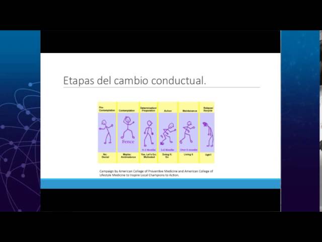 atención integral al paciente con obesidad respuestas