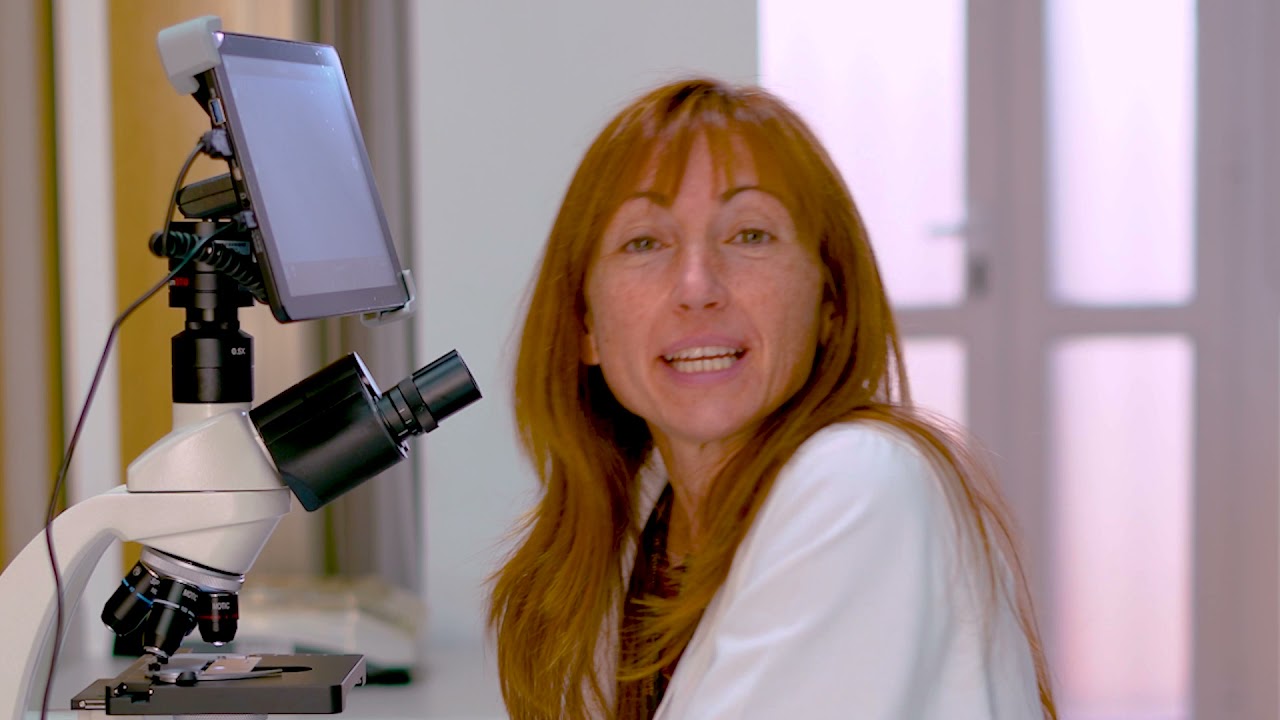 células de la mucosa bucal al microscopio