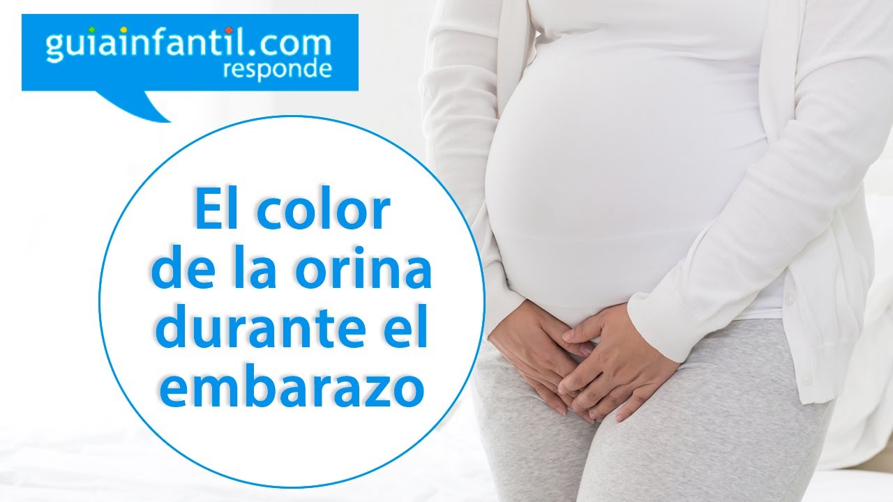 como es el pipi de una embarazada
