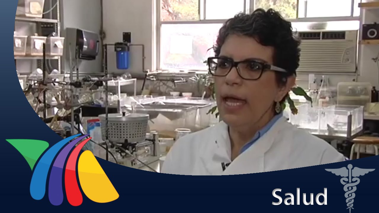 como quitar las adherencias de la cesárea