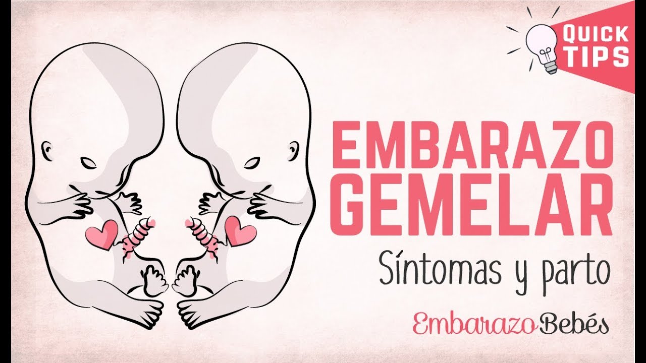 como saber si son gemelos antes de una ecografia