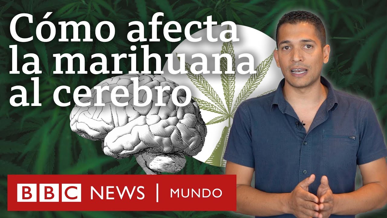 consecuencias de fumar porros a diario