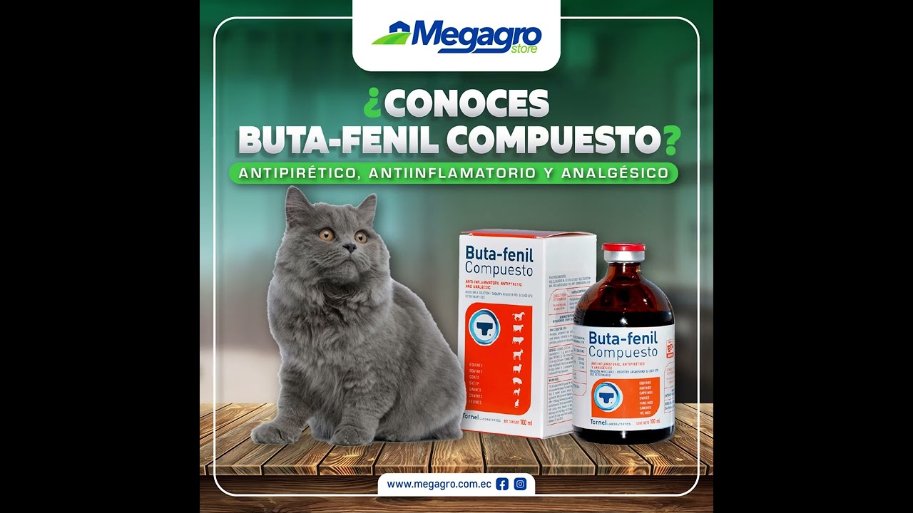cual es el mejor antiinflamatorio para caballos