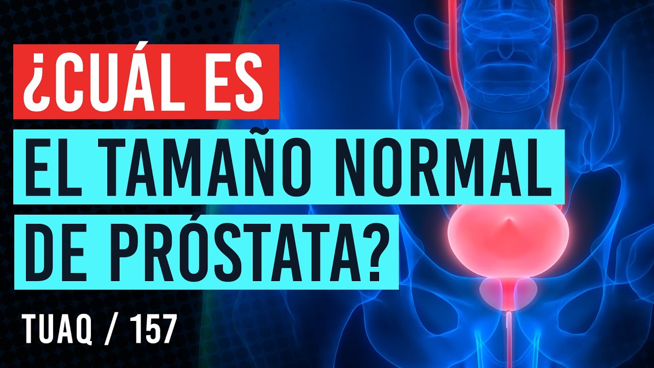 de que tamaño es la prostata