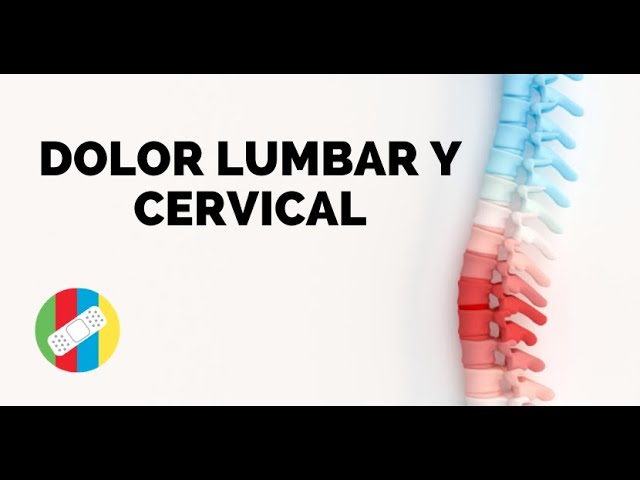 dolor cervical y lumbar a la vez
