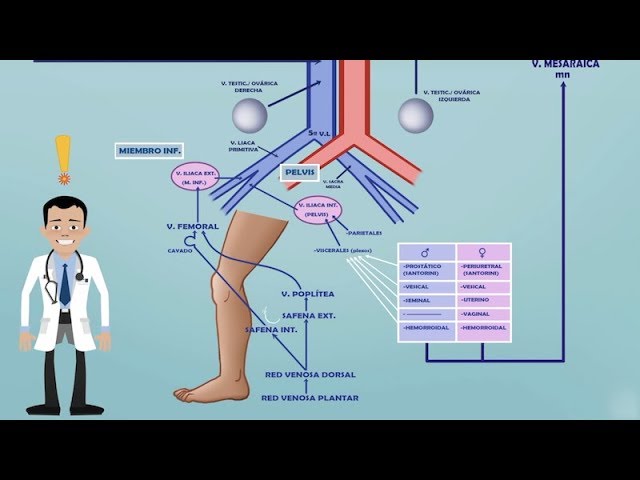efecto del primer paso del medicamento