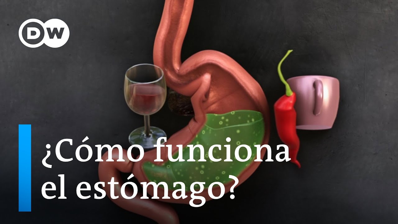 el cambio de clima afecta el estómago