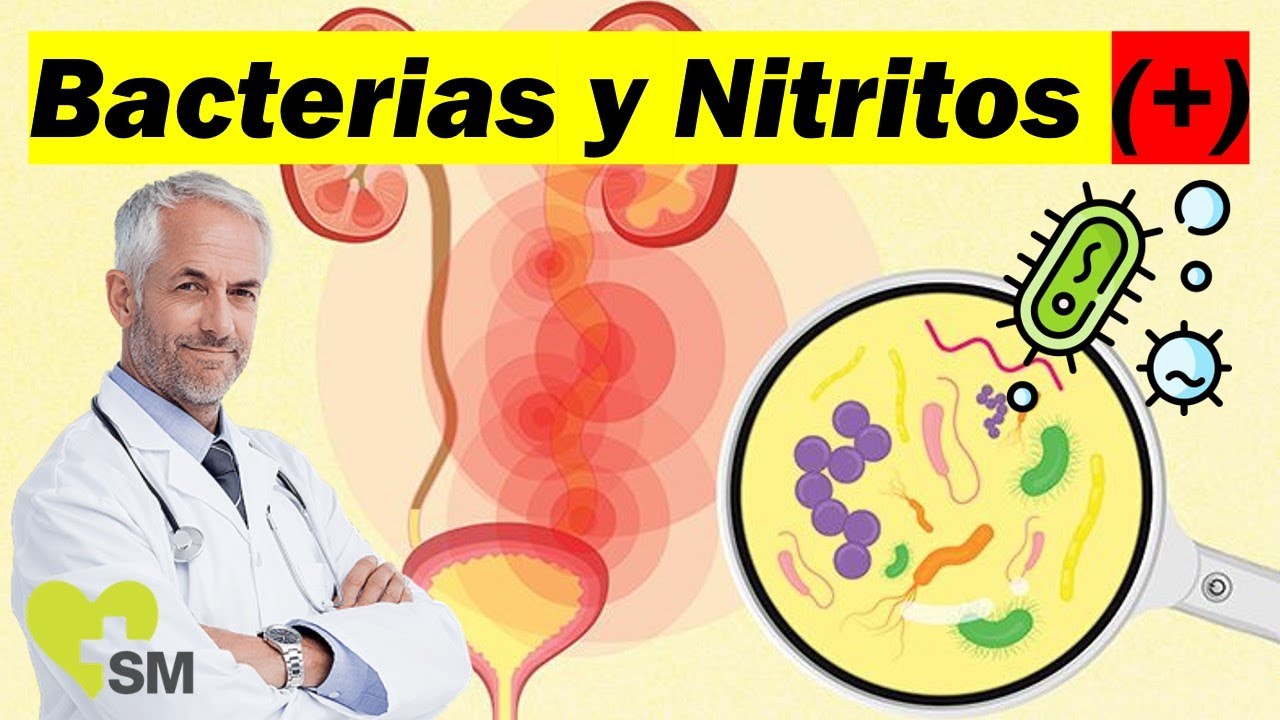es normal tener nitritos en la orina