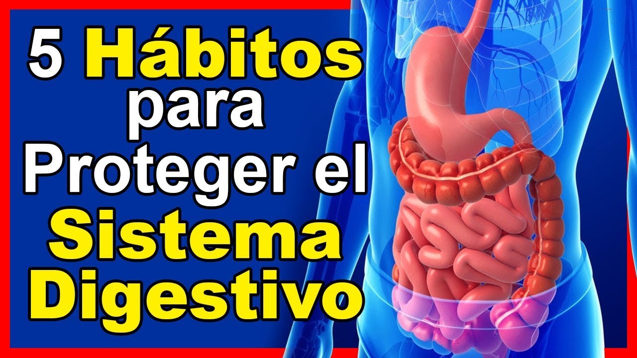habitos saludables para el aparato digestivo