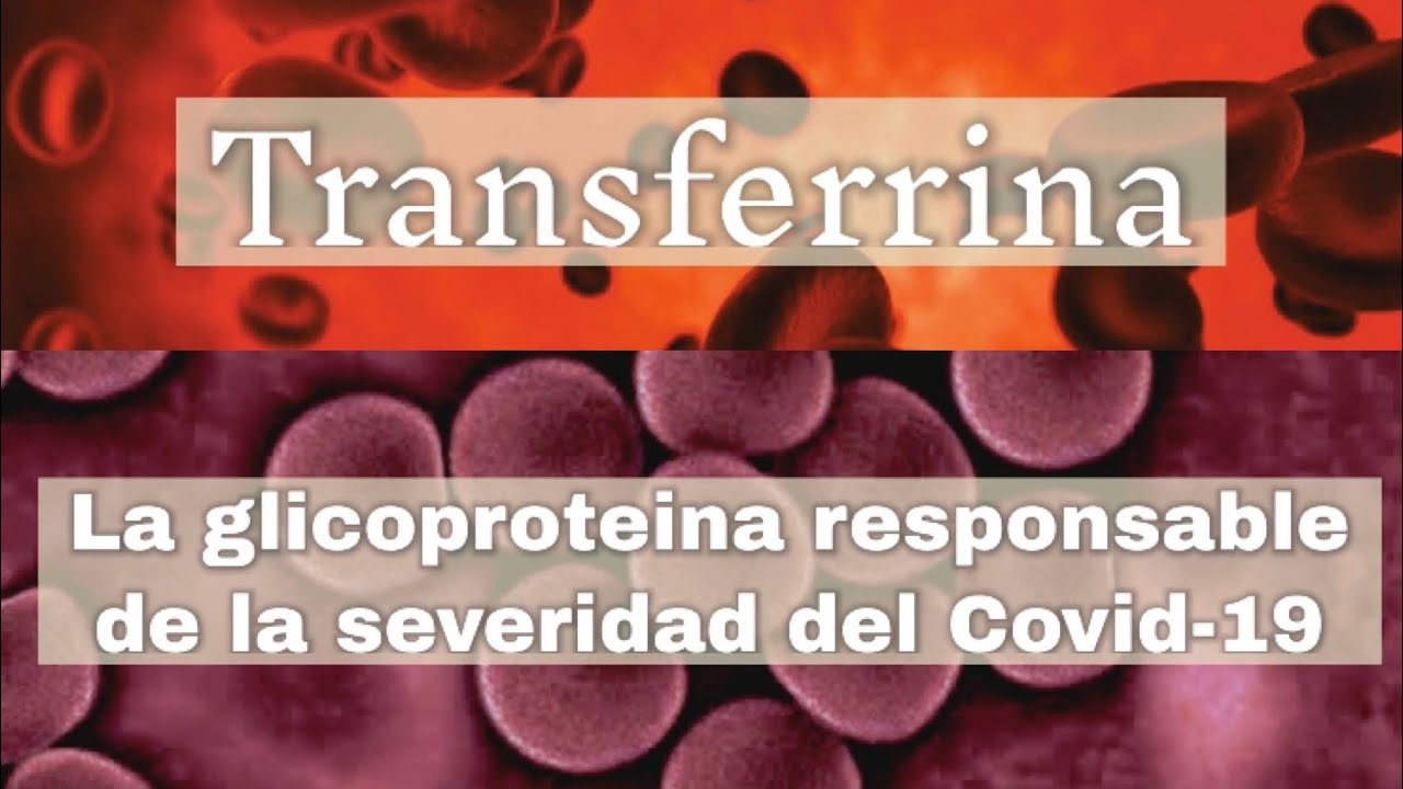 indice de saturacion de transferrina baja