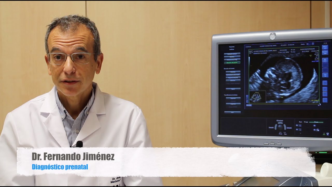la eco de las 12 semanas es abdominal