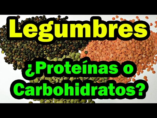 las legumbres son proteinas o carbohidratos