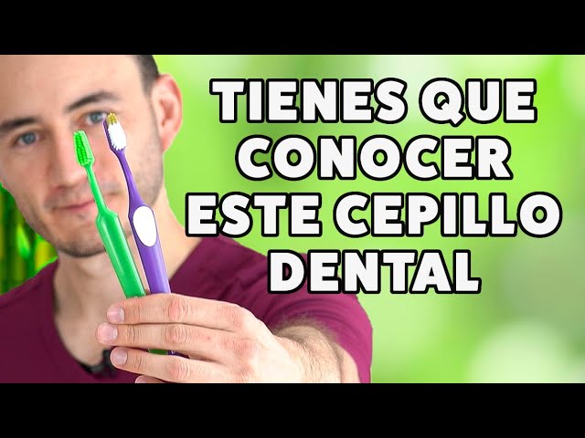 partes de un cepillo de dientes