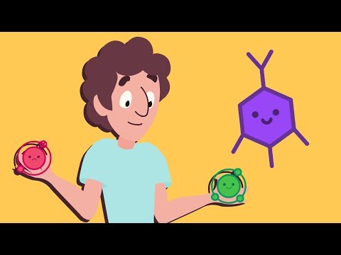 polifenoles que son y para que sirven