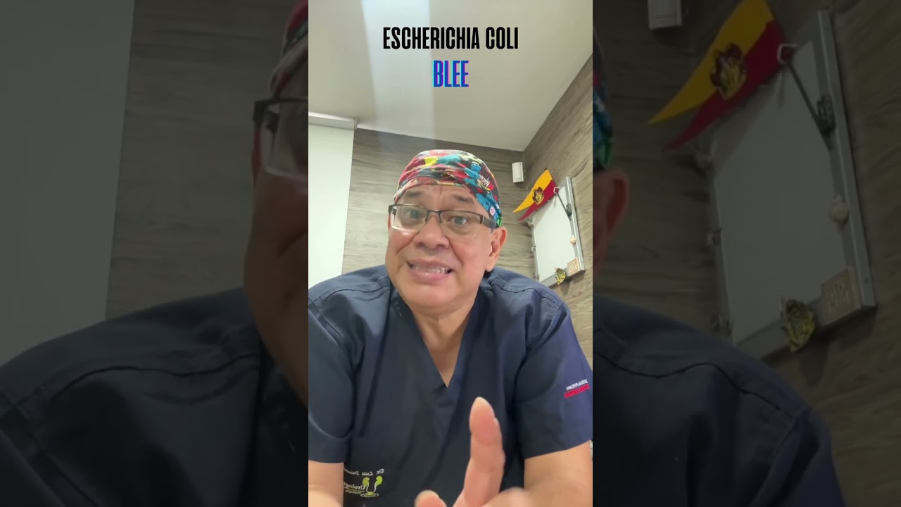 presencia de bacilos en la sangre