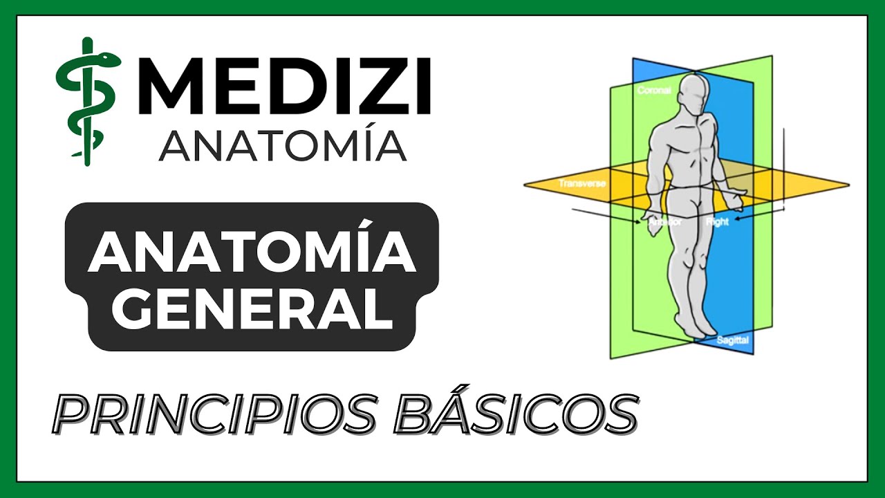 principios de la anatomia y fisiologia