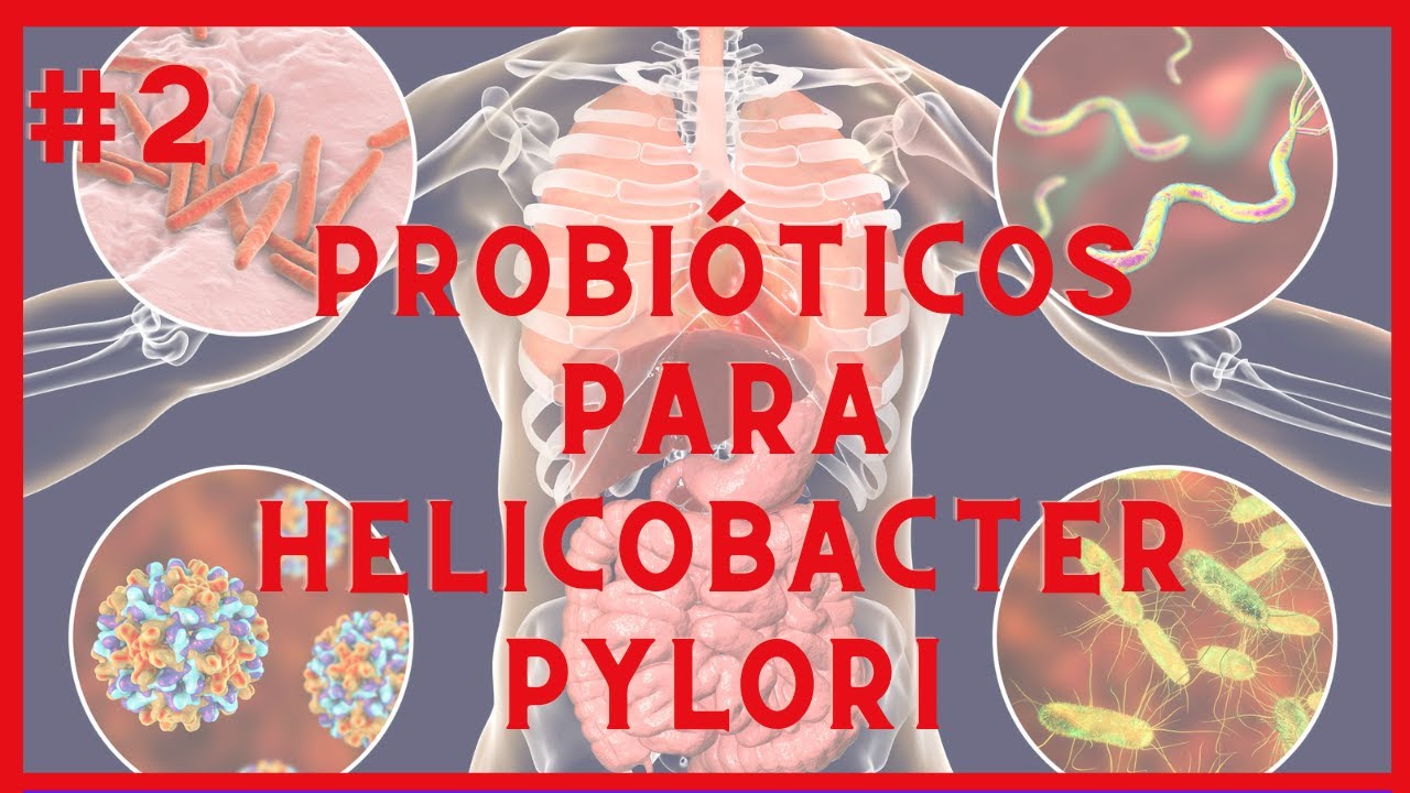 probioticos para la bacteria helicobacter pylori