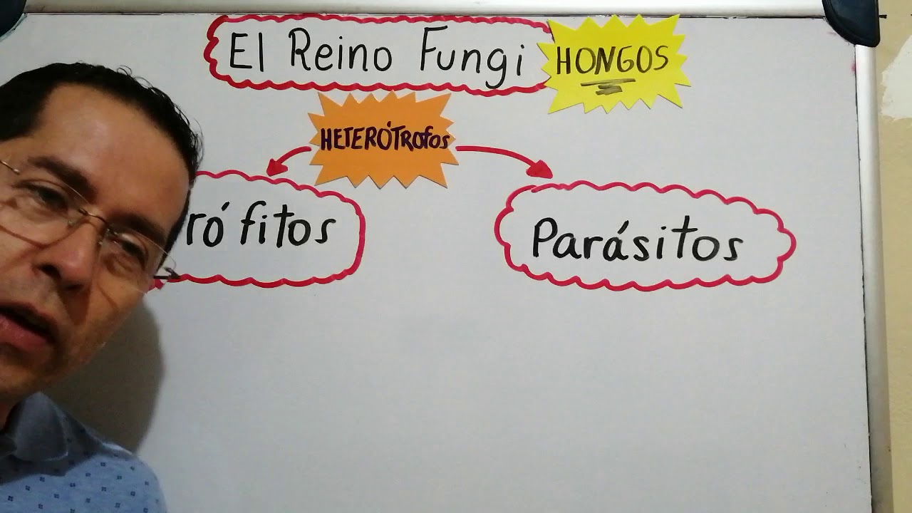 profesional que estudia el reino fungi