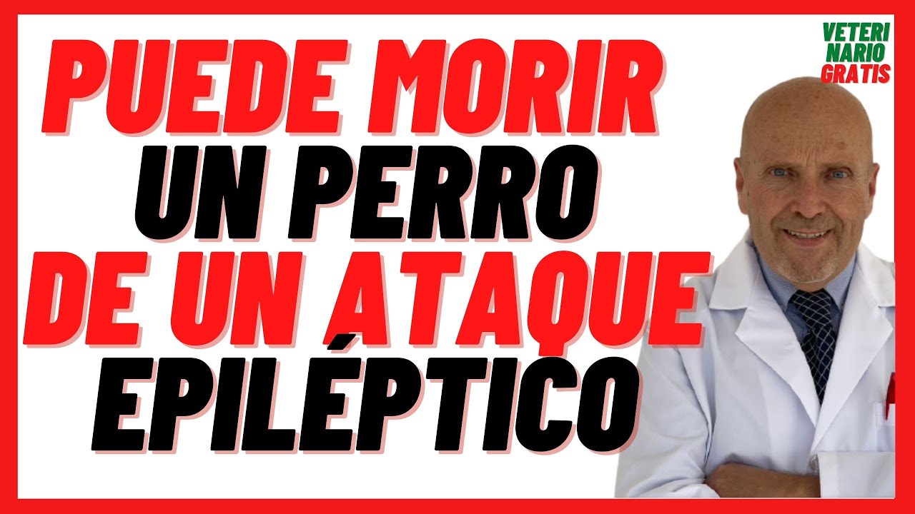 puede morir un perro de un ataque epiléptico