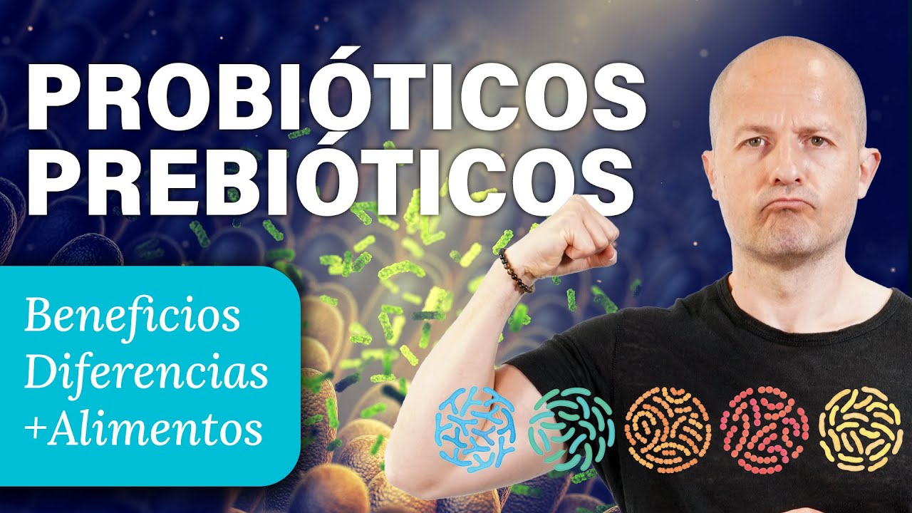 que son los probioticos y prebioticos