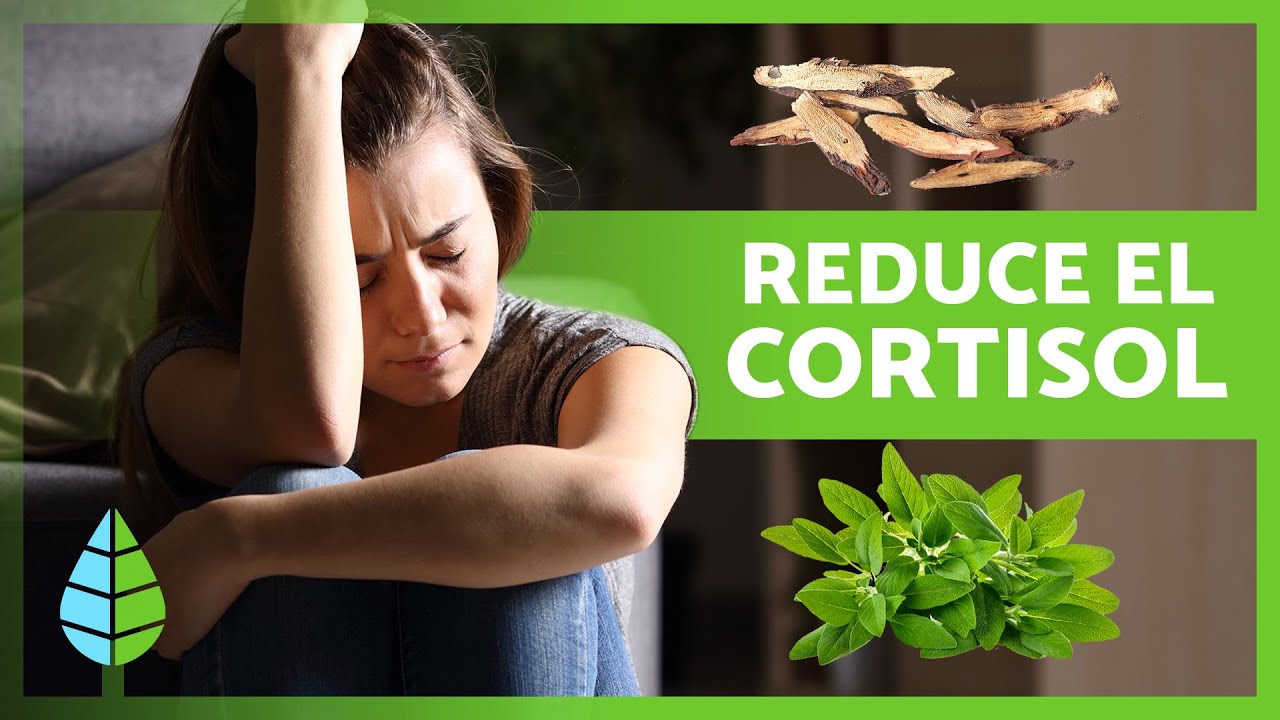 que tomar para bajar el cortisol