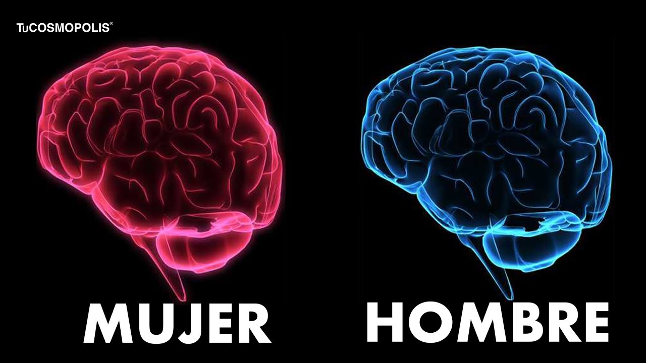 10 diferencias entre hombres y mujeres