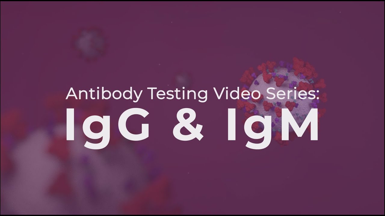 anticuerpos anti treponema pallidum igg e igm