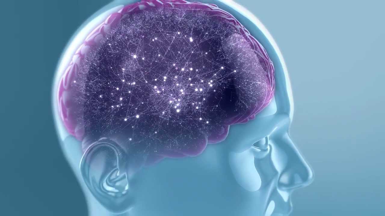 cerebro con tdah y sin tdah