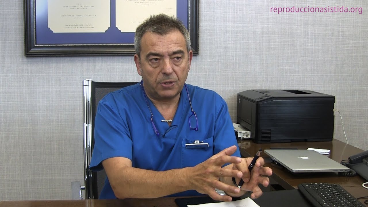 cuando se hace la transferencia de embriones congelados