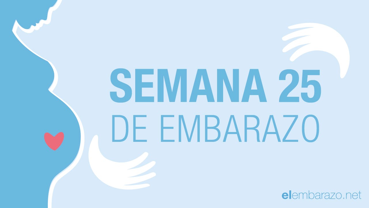 cuanto tiene que pesar un bebe de 25 semanas