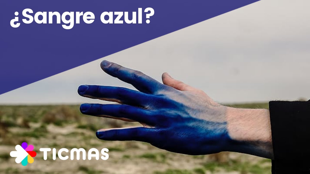 de que color son las venas