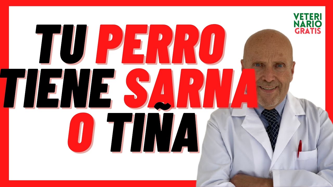 diferencia entre tiña y sarna en perros