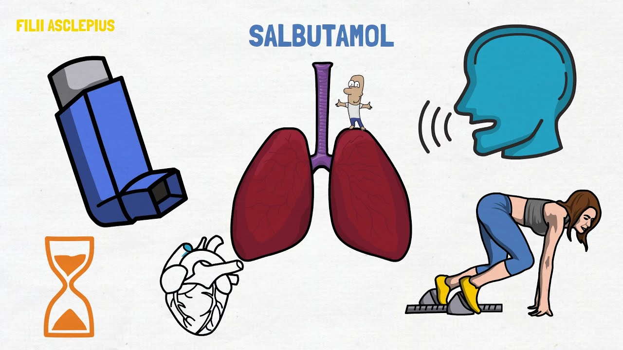 diferencia entre ventolin y terbasmin turbuhaler