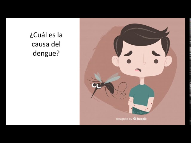 diferencias entre dengue y fiebre amarilla