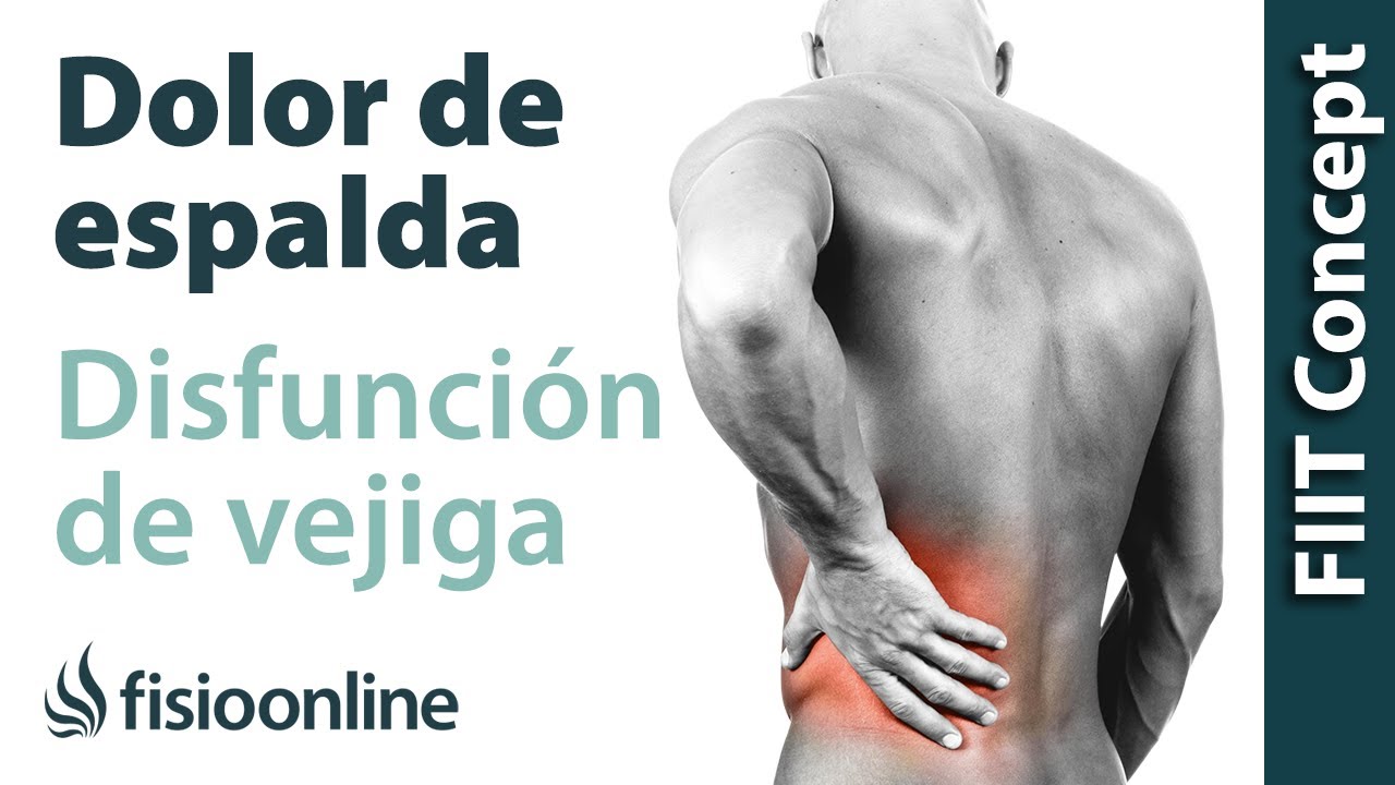 dolor de espalda baja y orina frecuente