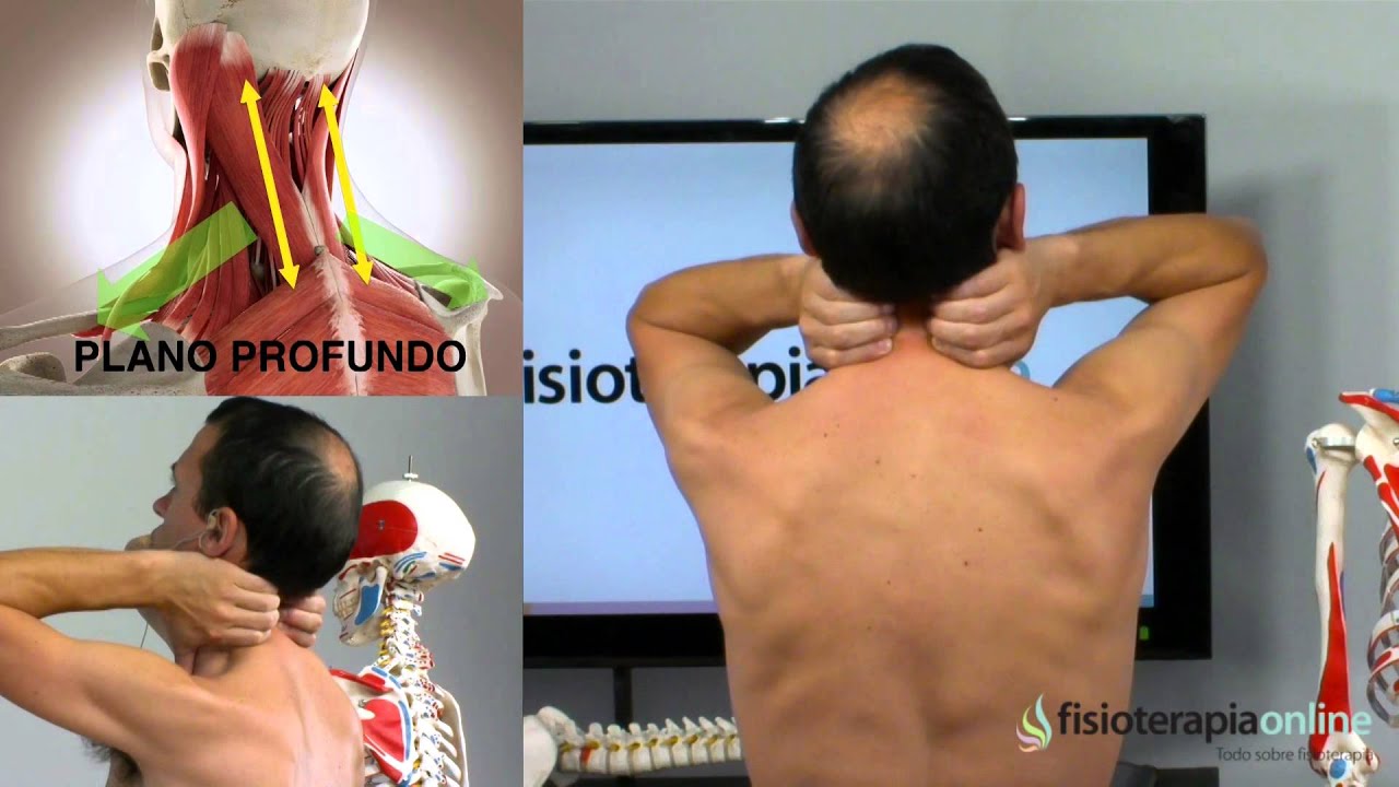 dolor en ambos hombros y cuello